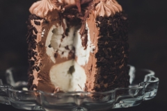 Chocolate Cake 6