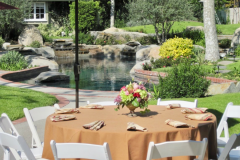 Coordinated and worked with multiple vendors for an Backyard Luncheon